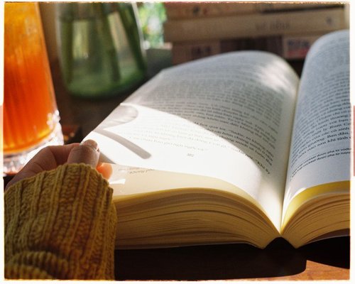 A quiet Sunday afternoon reading a book by the window